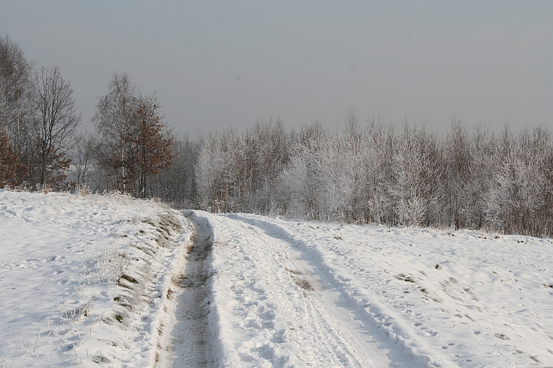 Przedwigilijny offroad 2007 008